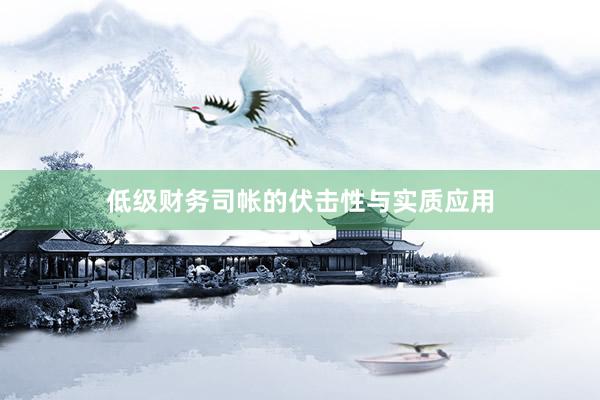 低级财务司帐的伏击性与实质应用