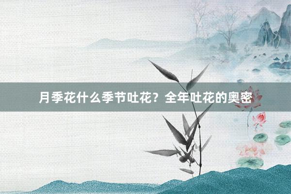月季花什么季节吐花？全年吐花的奥密